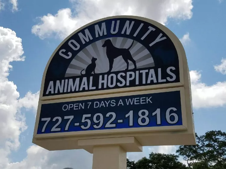 Community Animal Hospitals, Florida, Saint Petersburg